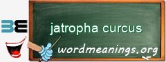 WordMeaning blackboard for jatropha curcus